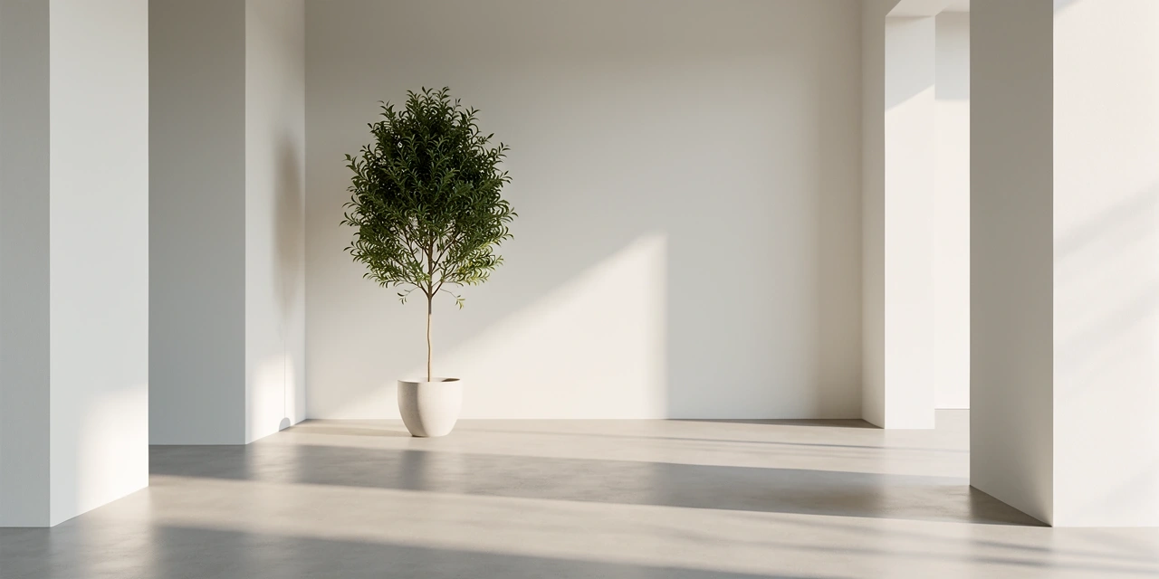 Studio Sommeil & Minceur